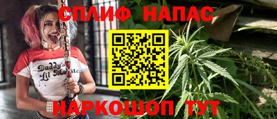 крисы Волгодонск