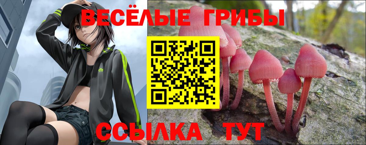 Михайловка  Галлюциногенные грибы мухоморы  Вход с VPN  Галлюциногенные грибы Psilocybe 