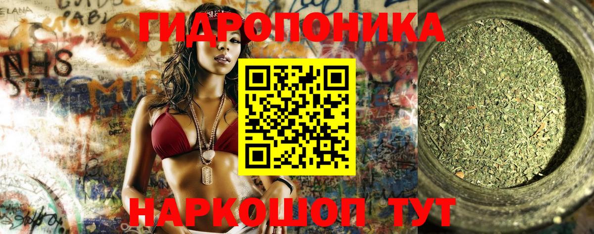 Конопля White Widow  Вход с VPN  Бошки марихуана планчик  Михайловка  Бошки марихуана гибрид 